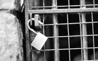 Proactive Debt Settlement: Financial Freedom Through Informed Action